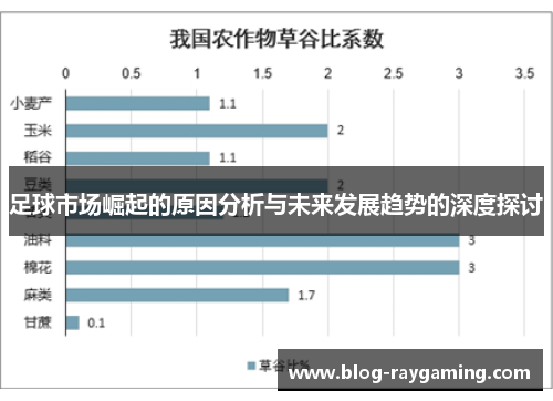 足球市场崛起的原因分析与未来发展趋势的深度探讨
